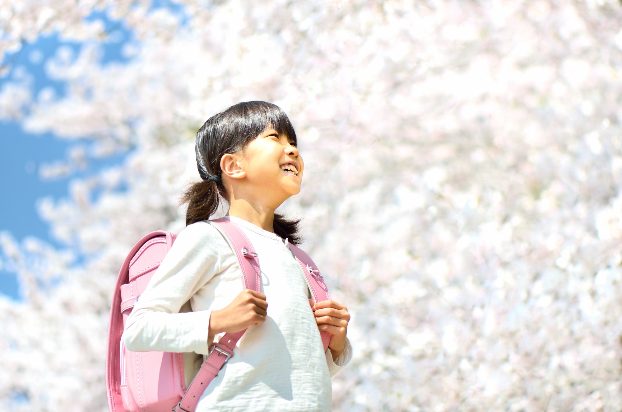 進学